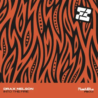 Into The Fire by Drax Nelson