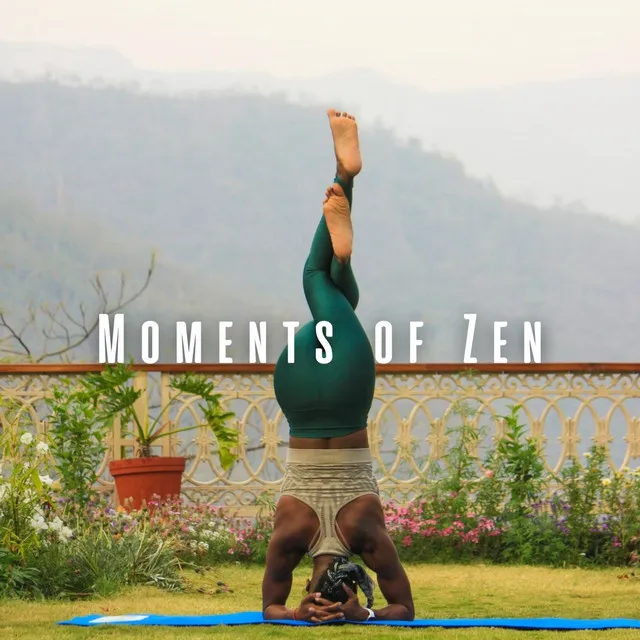 Zen Yoga Moments