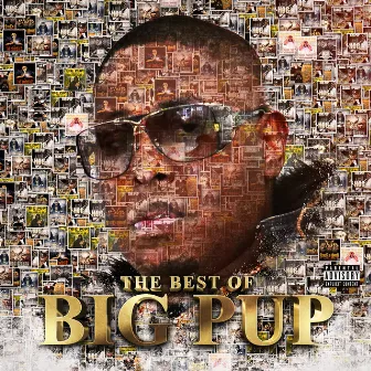 The Best of Big Pup by Big Pup