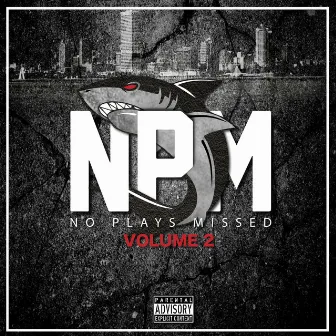 NPM, Vol. 2 by NPM