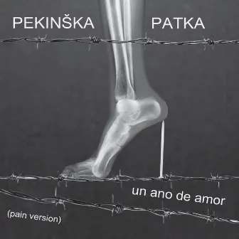 Un Ano de Amor by Pekinska patka