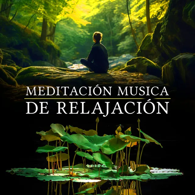 Meditación Musica de Relajación