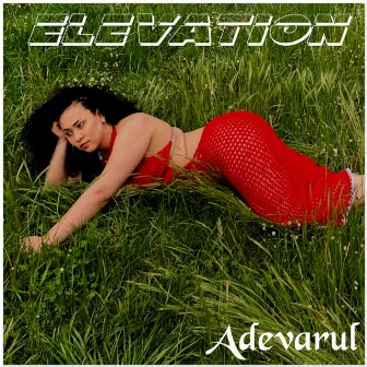 Elevation by Adevarul