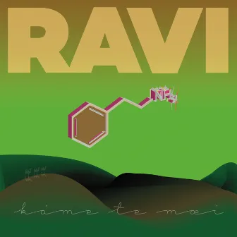 Kåme Te Mæi by Ravi