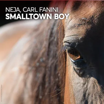 Smalltown Boy by Carl Fanini