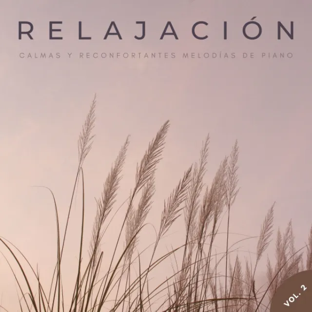 Relajación: Calmas Y Reconfortantes Melodías De Piano Vol. 2