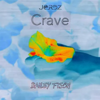 Crave (Bailey Fisch Remix) by Jordz