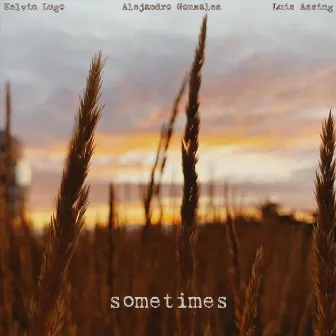 Sometimes by Luis Assing