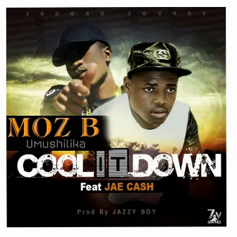 Cool it Down by Moz B Umushilika