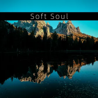 Soft Soul by Erin