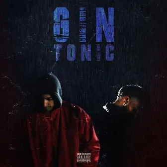 GIN TONIC by Merk