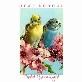 Bed & Breakfast by Deaf School