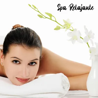 Spa Relajante - Sumérjase en Pura Relajación by Spa Musique Collection