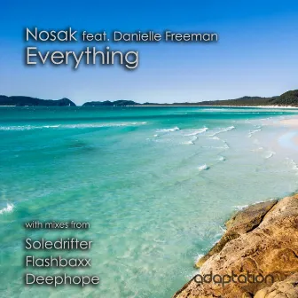 Everything (feat. Danielle Freeman) by Nosak