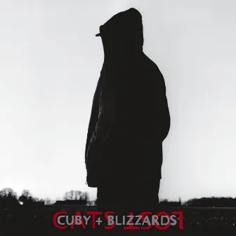 Cats Lost by Cuby & The Blizzards