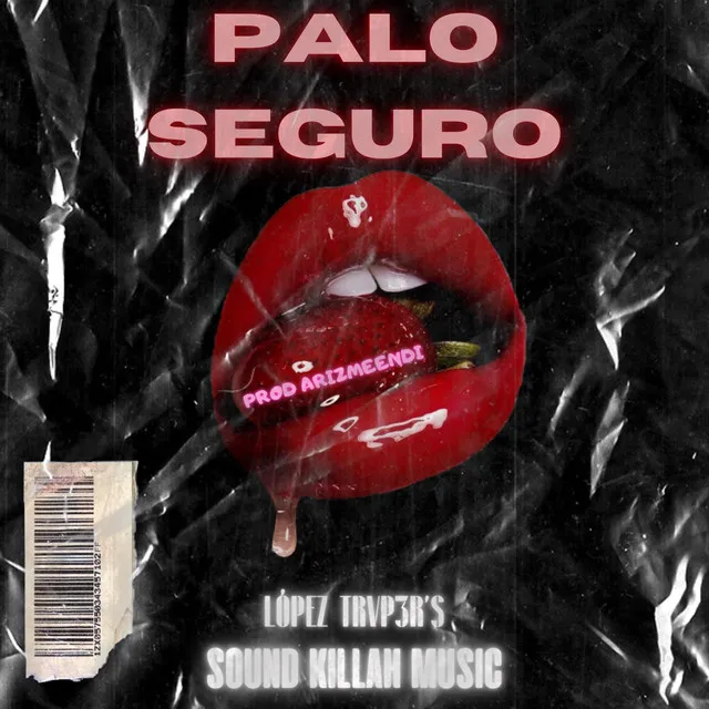 Palo Seguro