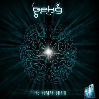 The Human Brain by GEKO