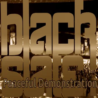 Peaceful Demonstration by Black Slate