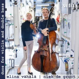 Duos for Violin & Double Bass by Niek De Groot