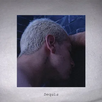 Sequïa. by Unknown Artist