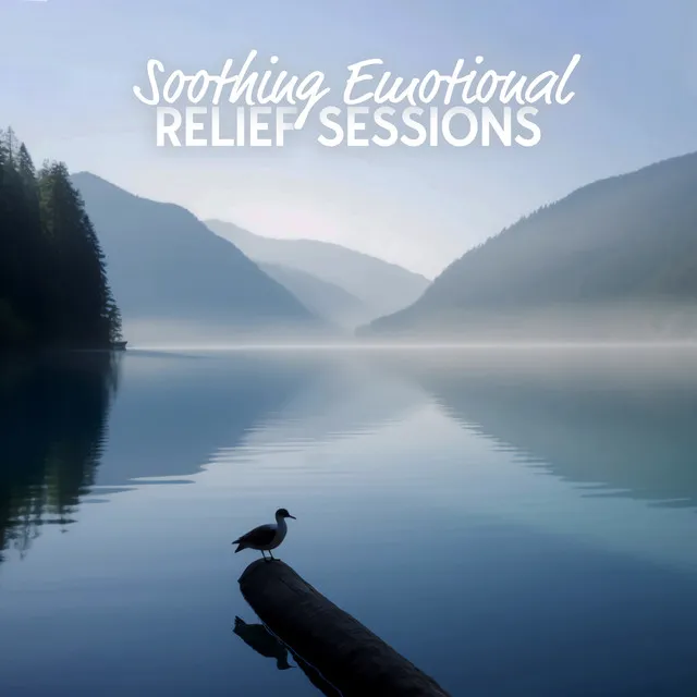 Soothing Emotional Relief Sessions