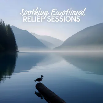 Soothing Emotional Relief Sessions by Unknown Artist