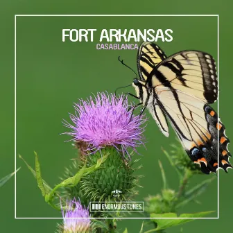 Casablanca by Fort Arkansas