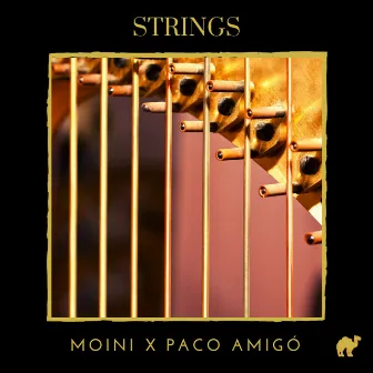 Strings by Paco Amigó