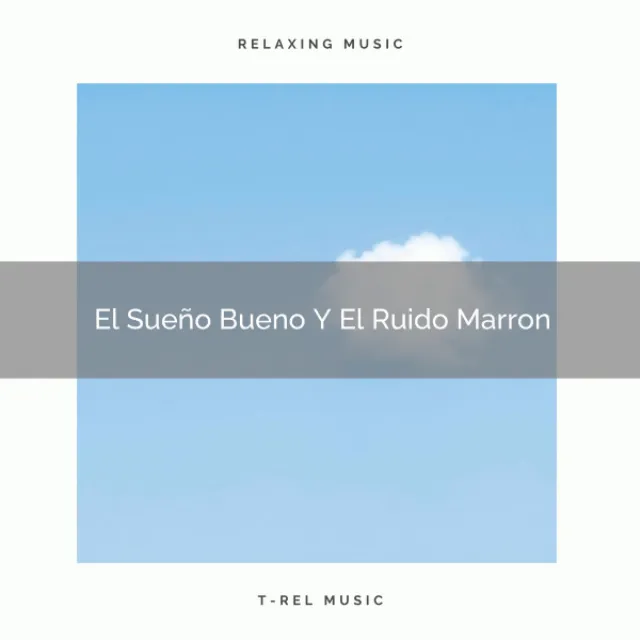 El Sueño Bueno Y El Ruido Marron