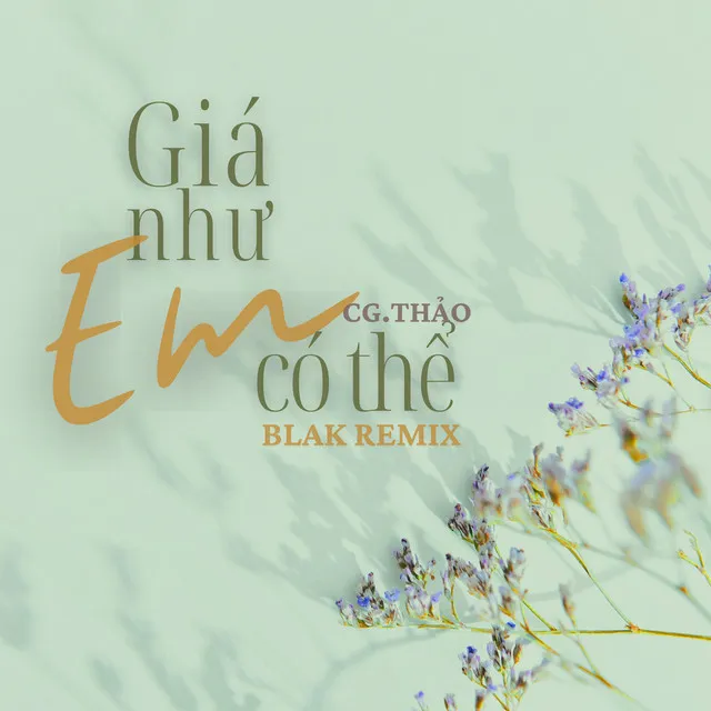 Giá Như Em Có Thể - Blak Remix