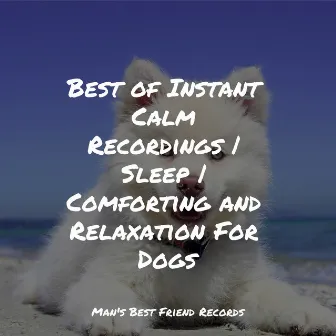 Best of Instant Calm Recordings | Sleep | Comforting and Relaxation For Dogs by Jazz Music for Dogs