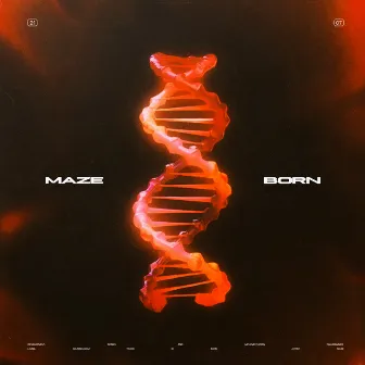 Born by Maze