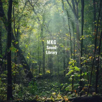 Rainy Cabin & Bird Sounds by MKG Sound Library