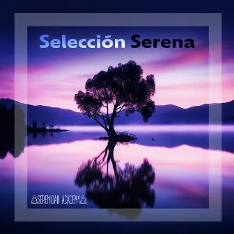 Selección Serena by Serenidad Academy