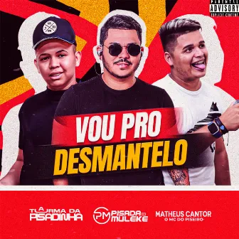 Vou pro Desmantelo by Pisada Di Muleke