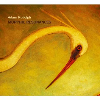 Morphic Resonances by Adam Rudolph