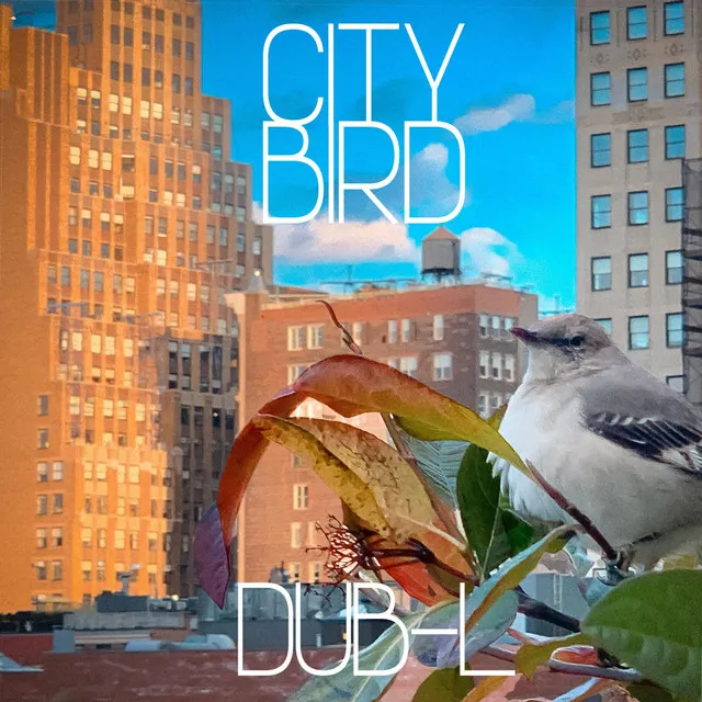 City Bird