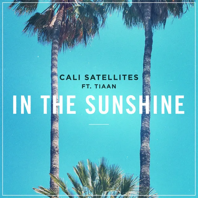 In the Sunshine - Radio Edit