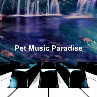 Pet Music Paradise by PETS LOVE MUSIC