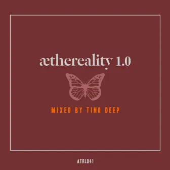 Aethereality 1.0 (Compiled and Mixed Tino Deep) by Unknown Artist