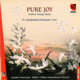 Pure Joy by Pandit Hariprasad Chaurasia