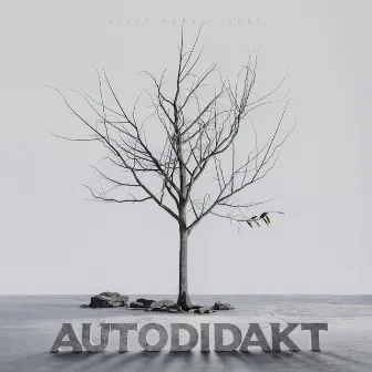 Autodidakt by SOLID