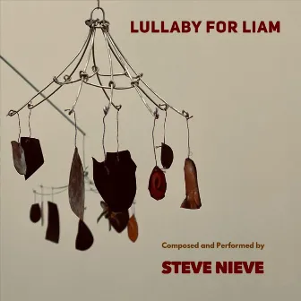 Lullaby for Liam by Steve Nieve