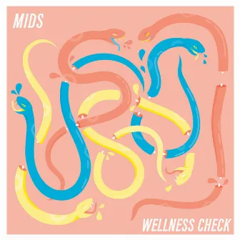 Wellness Check by Mids