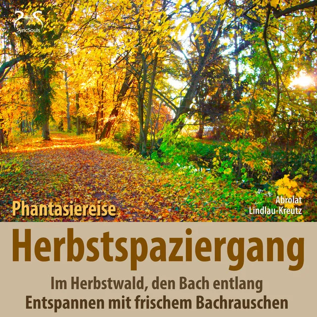 Herbstwald Naturgeräusche, Bachrauschen & Entspannungsmusik pur, Teil 8