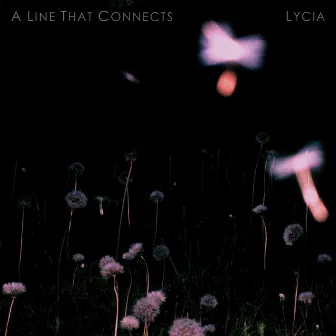 A Line That Connects by Lycia