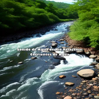 Sonido de Agua de Río Relajante by Corrientes de Agua