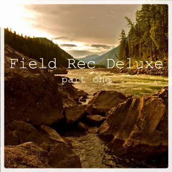 Part One by Field Rec Deluxe