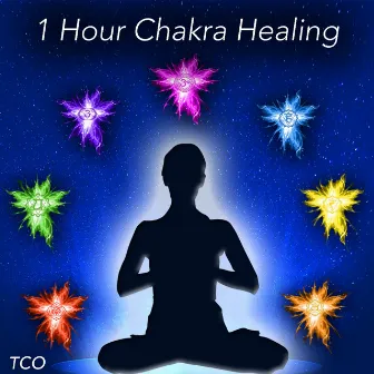 1 Hour Chakra Healing (Chakra Balancing for Meditation with 432HZ Music and Sounds of Nature) by TCO