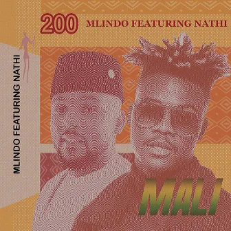 Mali (feat. Nathi) by Mlindo The Vocalist